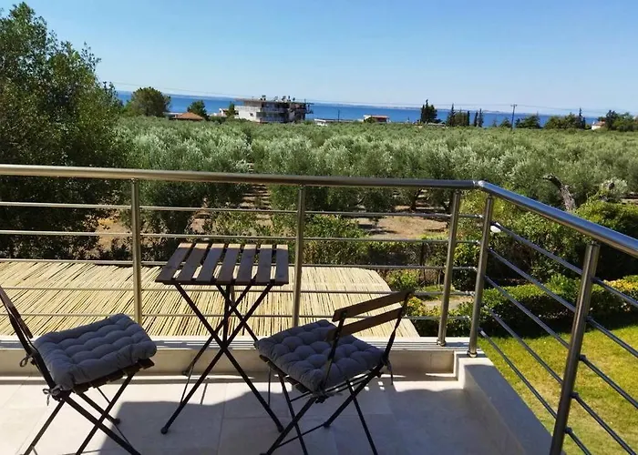 Pandora's House Tatil Evi